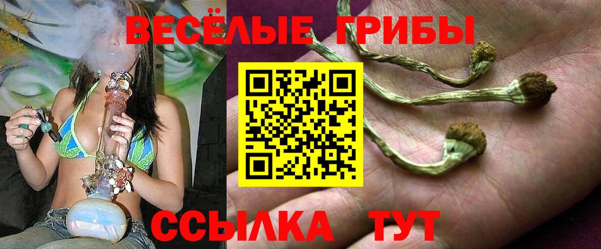 Галлюциногенные грибы мухоморы Пыть-Ях